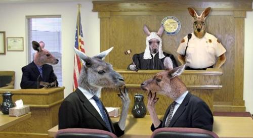 The SWP Disputes Committee in session